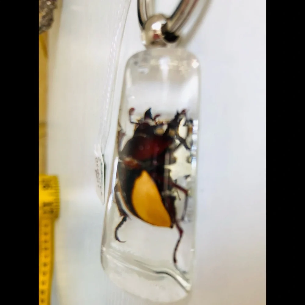 Natural beetle in acrylic resin keychain